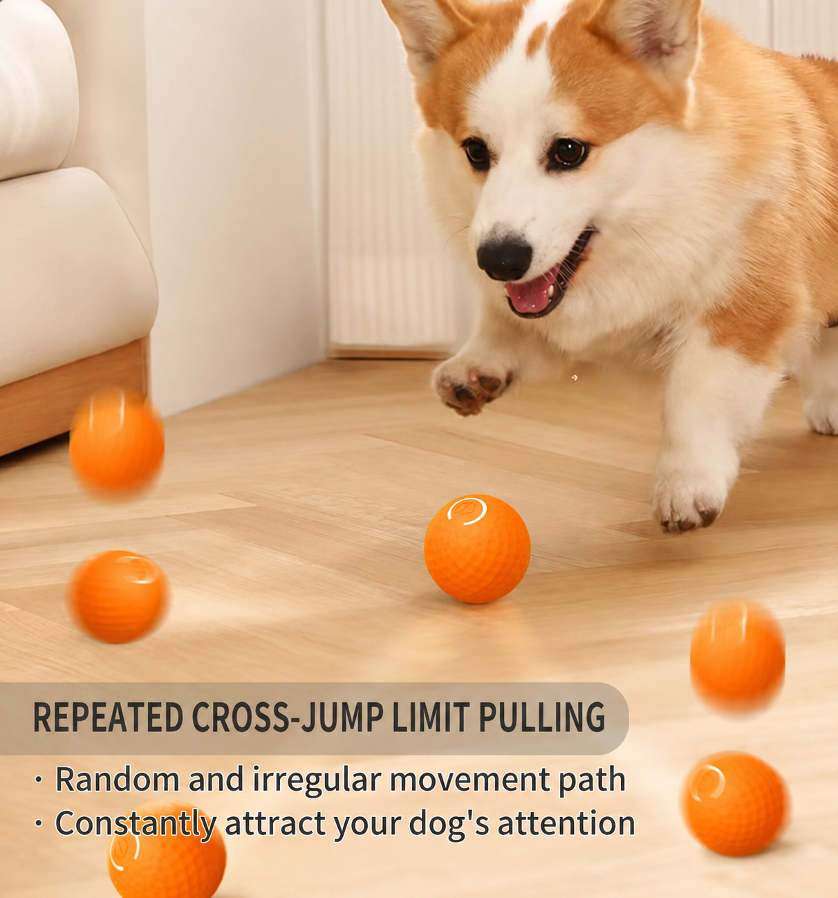 Auto Bouncing Light-Up Pet Ball