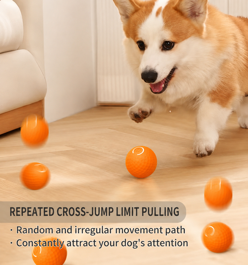 Auto Bouncing Light-Up Pet Ball